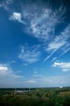 Cirrocumulus lacunosus