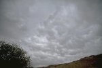 Cumulonimbus mamma